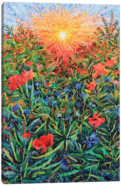 Poppies And Cornflowers In The Field Canvas Art Print - Tanbelia