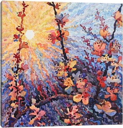 Apricot Blossom Canvas Art Print - Tanbelia