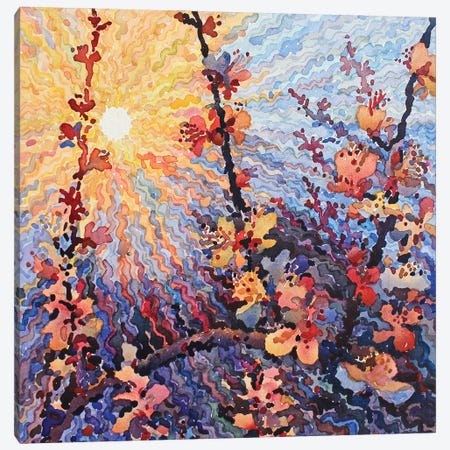 Apricot Blossom Canvas Print #TBA105} by Tanbelia Canvas Art Print