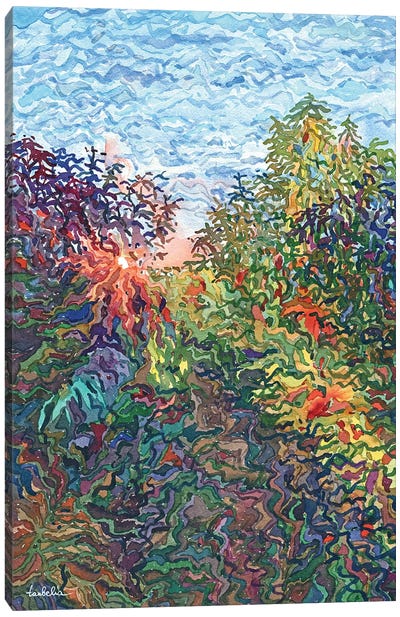 Secret Path In The Garden Canvas Art Print - Tanbelia