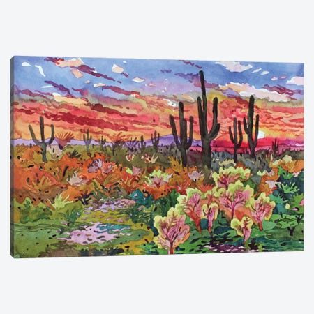 Saguaro National Park Canvas Print #TBA110} by Tanbelia Art Print