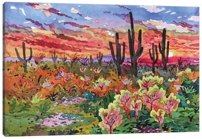 Saguaro National Park Canvas Art Print - Tanbelia