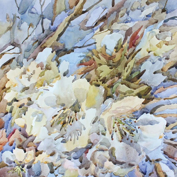 Tanbelia: Sweet Cherry Blossom by Tanbelia