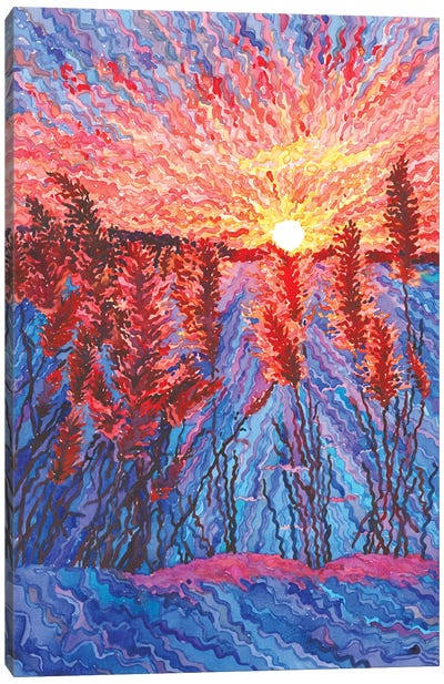 The Winter Field Of Reeds Canvas Art Print - Tanbelia