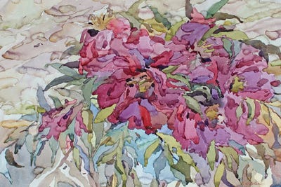 Pink Peonies by Tanbelia framed canvas print