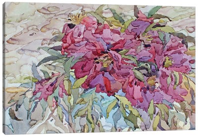 Pink Peonies Canvas Art Print - Tanbelia