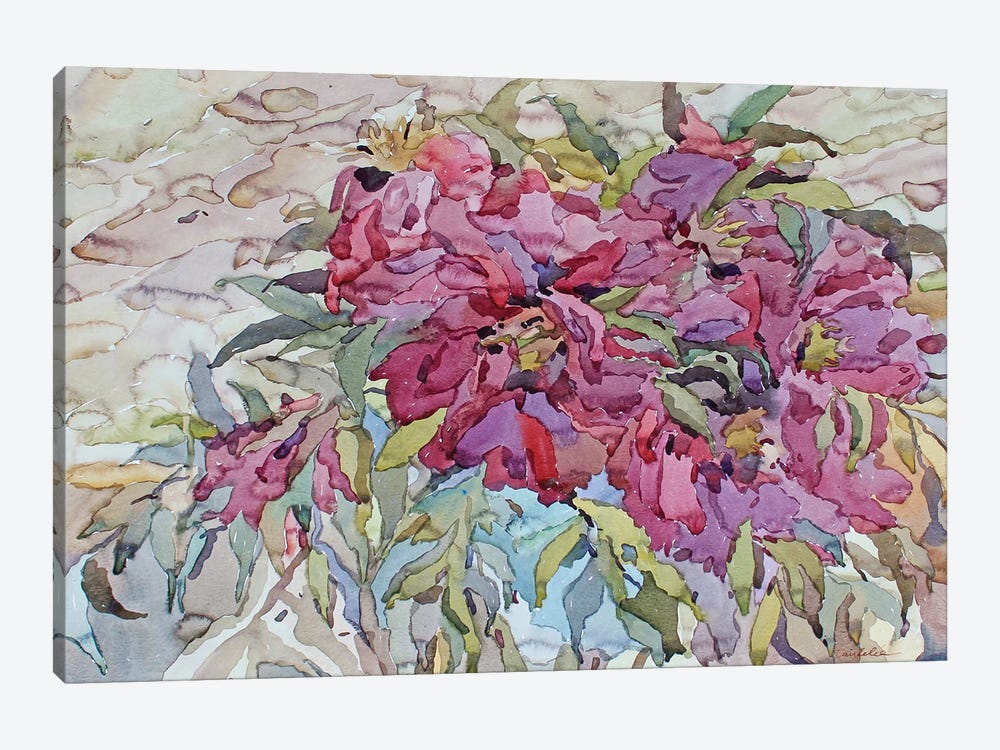 Pink Peonies by Tanbelia 1-piece Canvas Art Print
