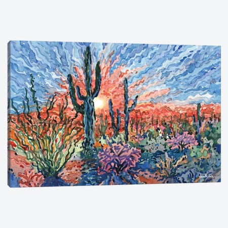 Sunset In Saguaro National Park Canvas Print #TBA12} by Tanbelia Canvas Artwork
