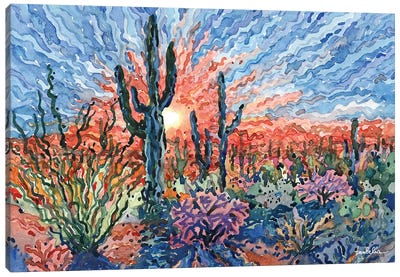 Sunset In Saguaro National Park Canvas Art Print - Tanbelia