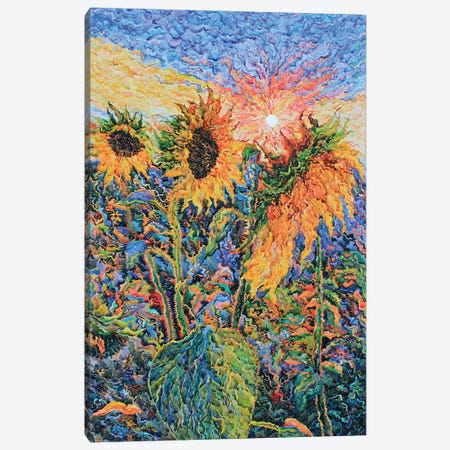 Sunflowers Canvas Print #TBA13} by Tanbelia Canvas Art