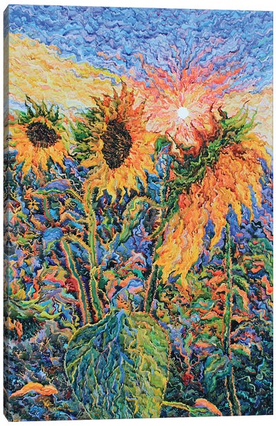 Sunflowers Canvas Art Print - Tanbelia