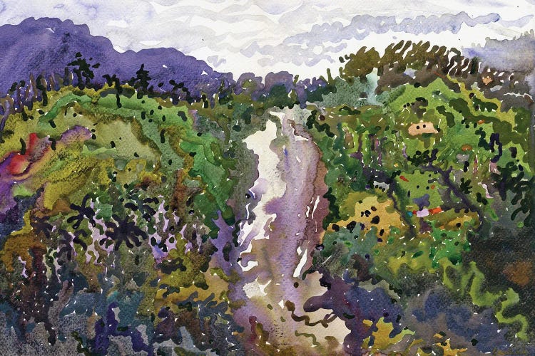 Small Ravana Waterfall by Tanbelia wall art