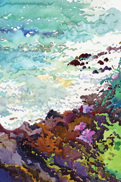 View From Parrot Rock by Tanbelia wall art