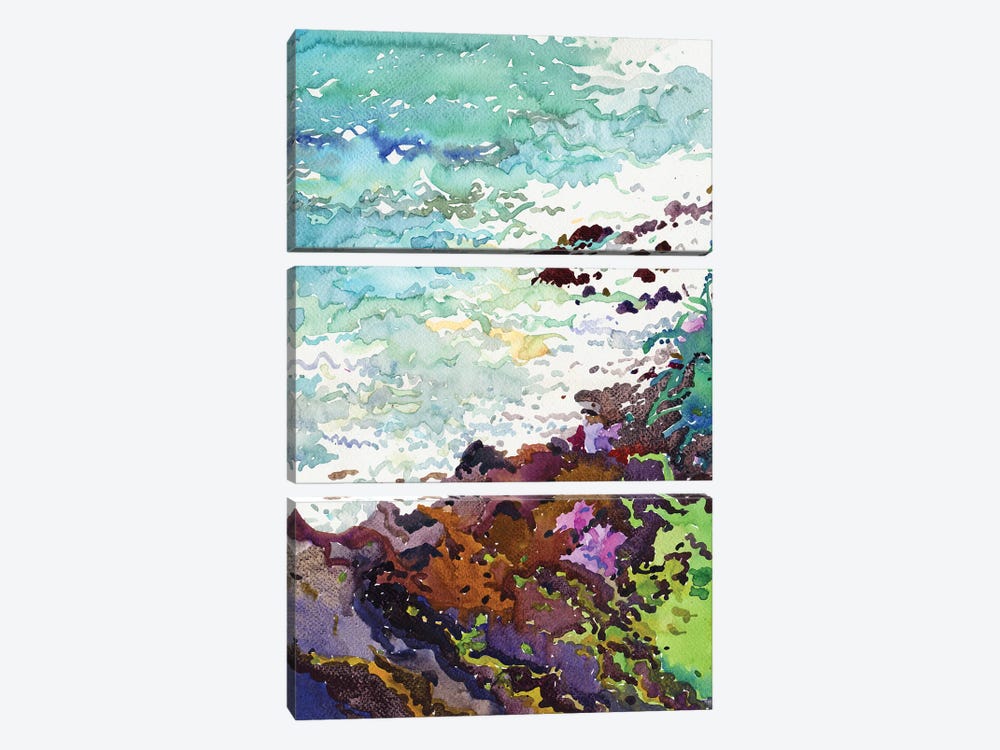 View From Parrot Rock by Tanbelia 3-piece Canvas Artwork