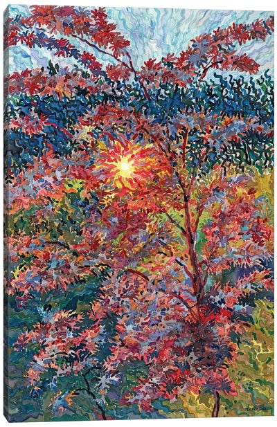 Autumn Goldenrod Canvas Art Print - Tanbelia
