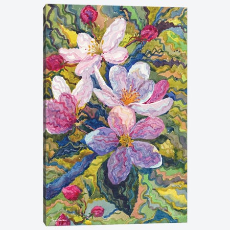 Apple Blossom Canvas Print #TBA16} by Tanbelia Canvas Art Print