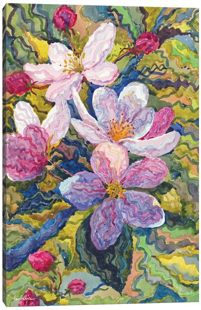 Apple Blossom Canvas Art Print - Tanbelia