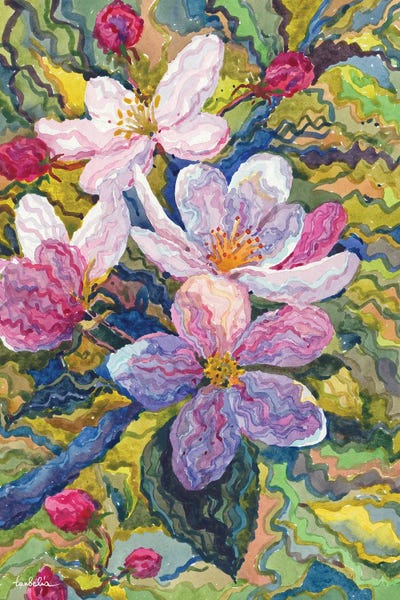 Apple Blossoms: Apple Blossom by Tanbelia