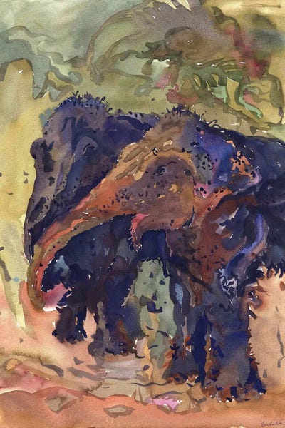 Tanbelia: Pinky And Sanui Elephants In Phuket Sanctuary by Tanbelia