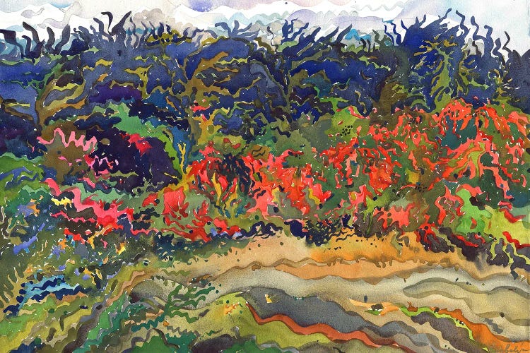 Nahm Dong Park In Luang Prabang by Tanbelia wall art