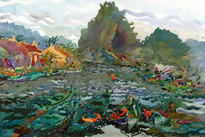 The Lake In Ninh Binh by Tanbelia framed canvas print