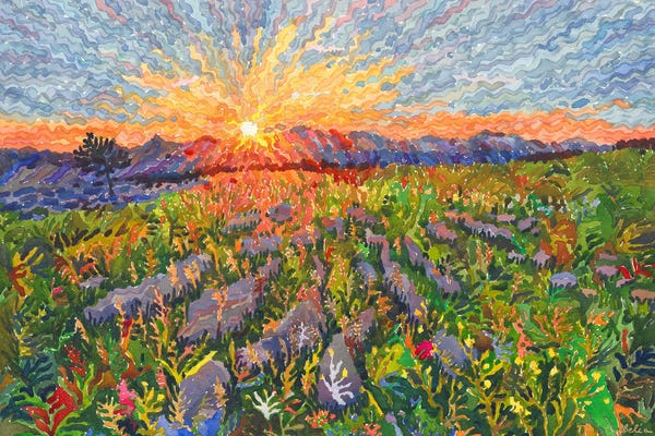 Nature Lover: Yorkshire Dales National Park by Tanbelia