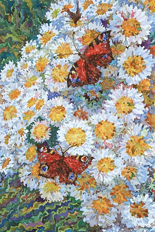 Butterflies On White Chrysanthemums by Tanbelia wall art