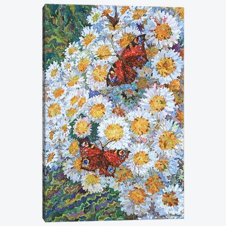 Butterflies On White Chrysanthemums Canvas Print #TBA23} by Tanbelia Canvas Art Print