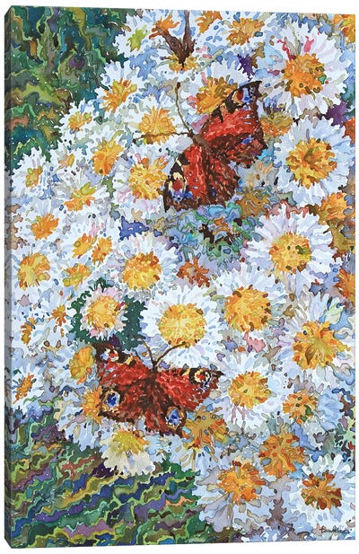Butterflies On White Chrysanthemums Canvas Art Print - Tanbelia