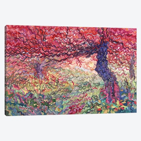 Carpathian Autumn Forest Canvas Print #TBA24} by Tanbelia Canvas Artwork