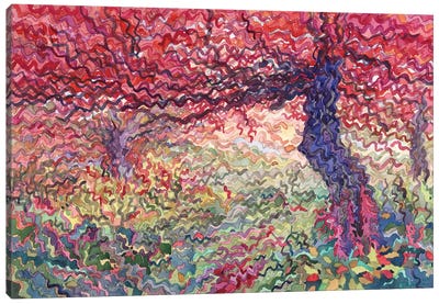 Carpathian Autumn Forest Canvas Art Print - Tanbelia