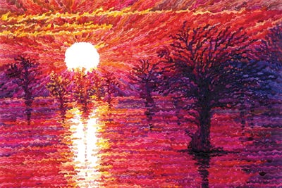 Sunrise In Caddo Lake State Park by Tanbelia multi panel art