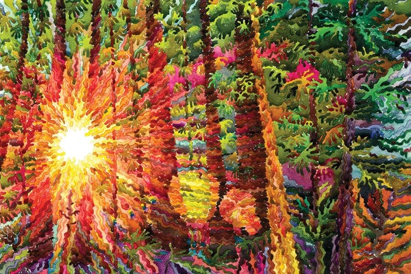 Olympic National Park: Olympic National Park by Tanbelia