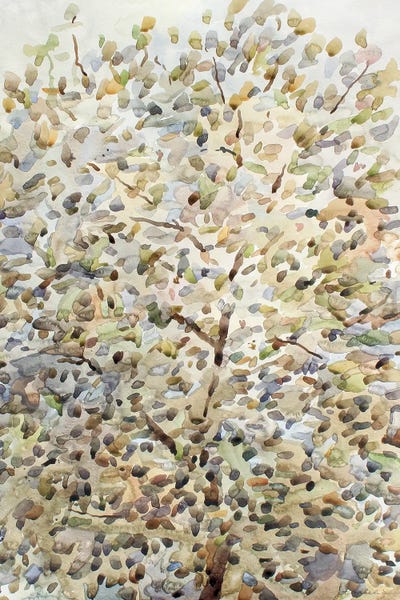 Tanbelia: Cherry Blossom by Tanbelia