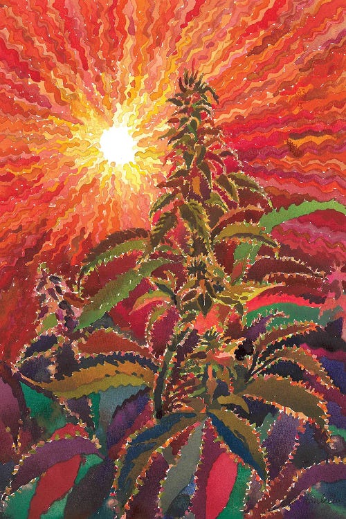 Cannabis by Tanbelia wall art