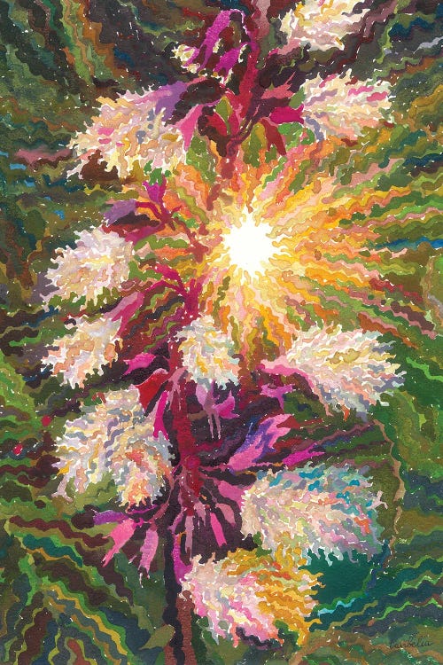 Salvia Divinorum by Tanbelia wall art
