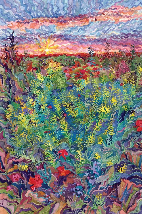 Descurainia Sophia Flowers