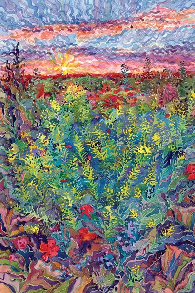 Descurainia Sophia Flowers