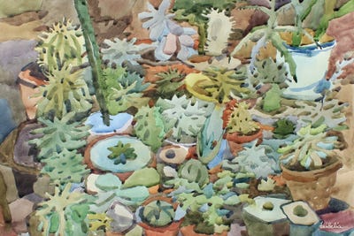 Hardy Succulents by Tanbelia framed wall art