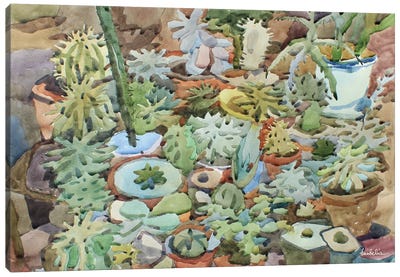 Hardy Succulents Canvas Art Print - Tanbelia