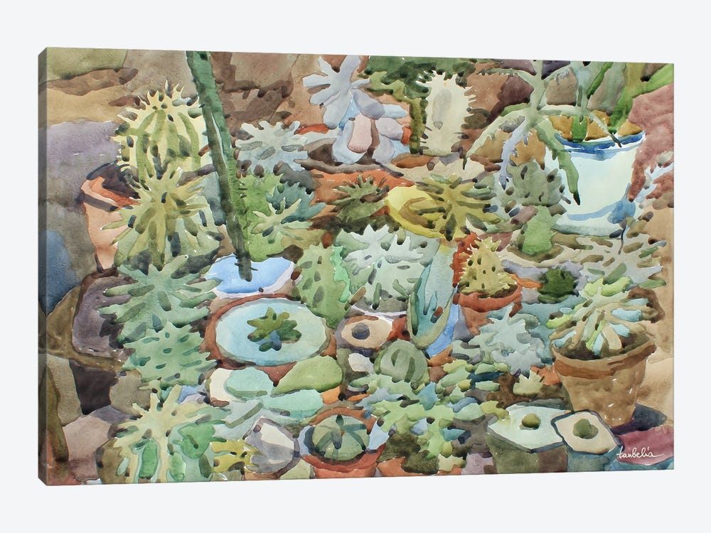Hardy Succulents by Tanbelia 1-piece Canvas Wall Art