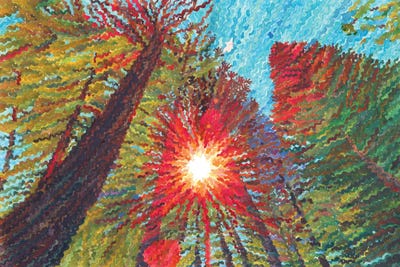 Tanbelia - Framed Fine Art Prints: Sequoia National Park by Tanbelia