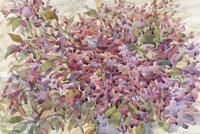 Lilacs