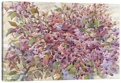 Lilac Blossom Canvas Art Print - Lilac Art