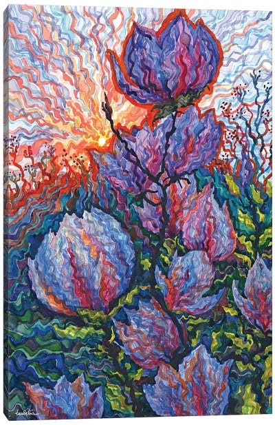 Magnolia Canvas Art Print - Tanbelia
