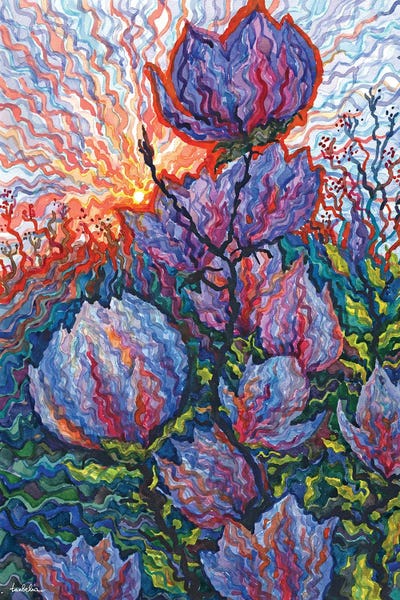 Magnolias: Magnolia by Tanbelia