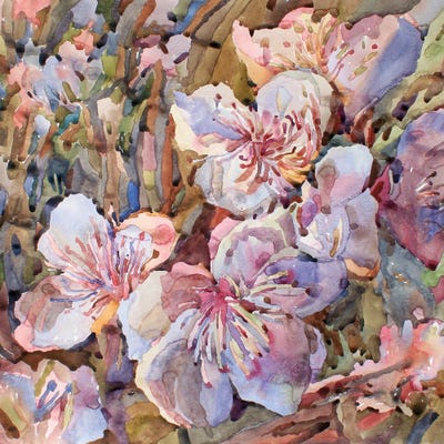 Peach Blossom by Tanbelia canvas print