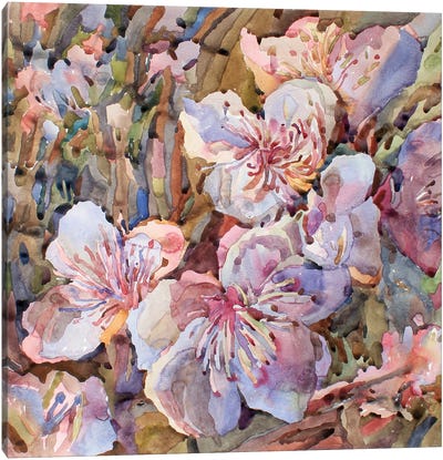 Peach Blossom Canvas Art Print - Tanbelia