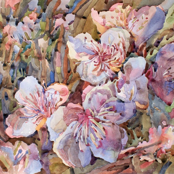 Peach Blossoms: Peach Blossom by Tanbelia