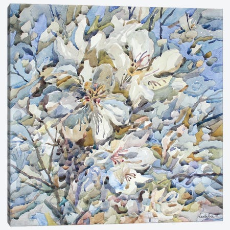 Pear Blossom Canvas Print #TBA37} by Tanbelia Canvas Print